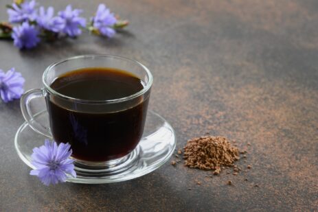 Chicory herbal beverage decorated blue Chicory flowers, coffee healthy substitute.