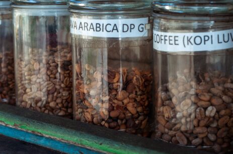 coffee beans in clear jars with labels. arabica and luwak coffee