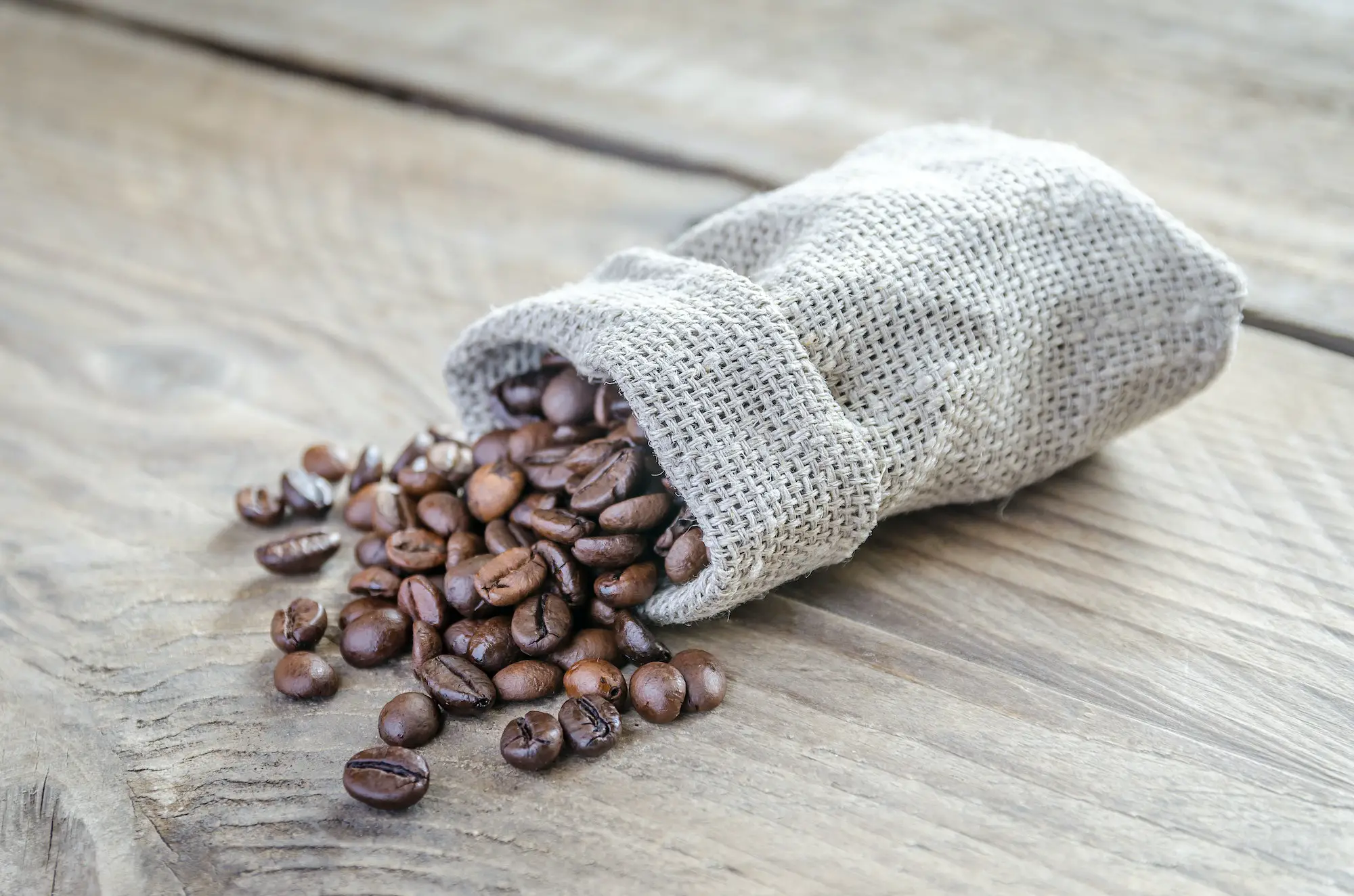 Coffee beans in the sackcloth bag