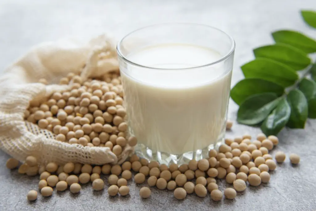 Soy milk and soy