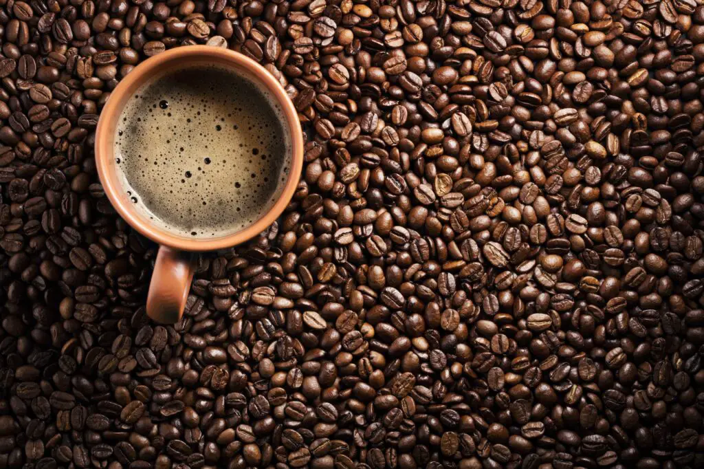 whole bean vs ground coffee 